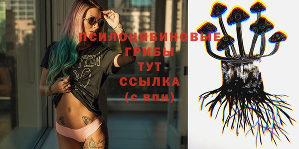 ГАЛЛЮЦИНОГЕННЫЕ ГРИБЫ Алексеевка